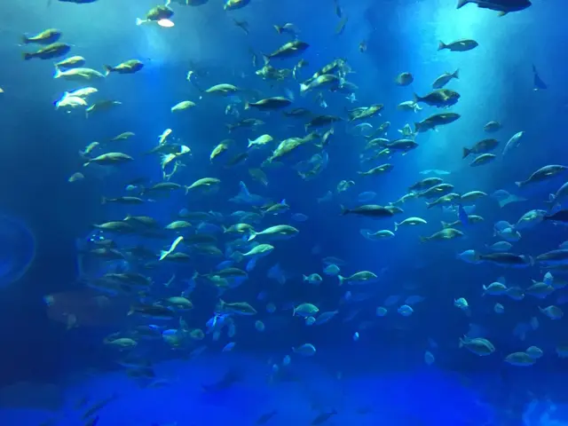 のとじま水族館　