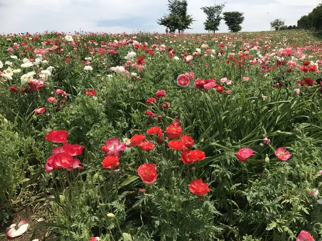 那須フラワーワールド