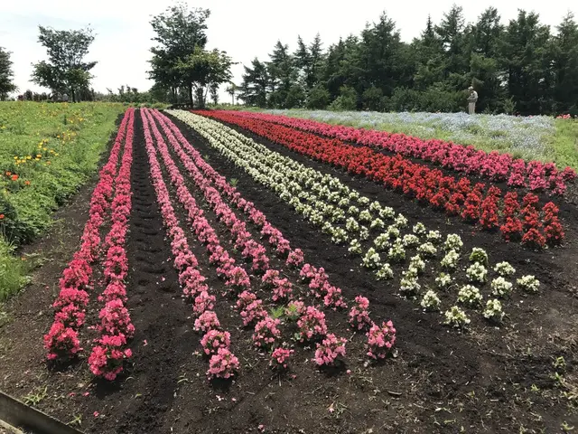 那須フラワーワールド