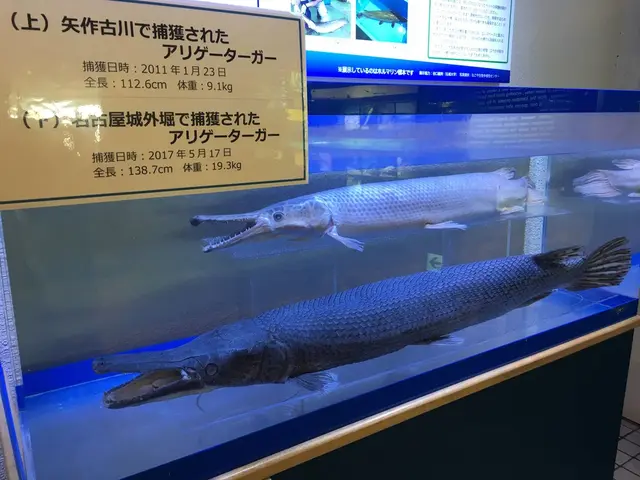碧南市青少年海の科学館・碧南海浜水族館