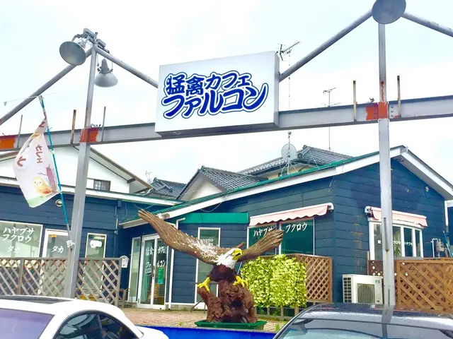 猛禽カフェ ファルコン