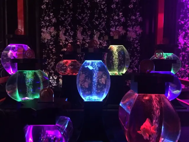 【閉業】アートアクアリウム