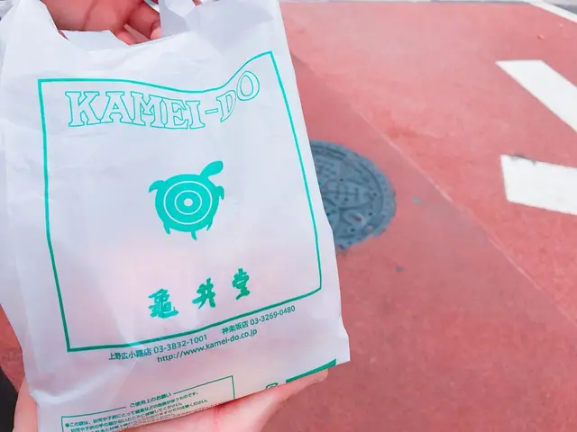 【閉業】神楽坂 亀井堂