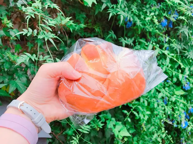 【閉業】神楽坂 亀井堂