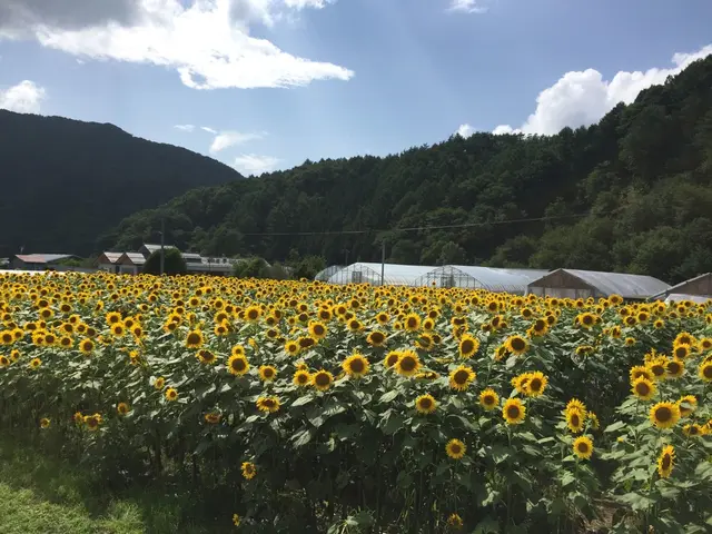 もみじ平キャンプ場
