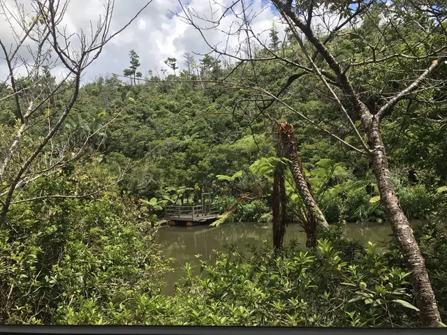 【閉業】カフェ七色の風