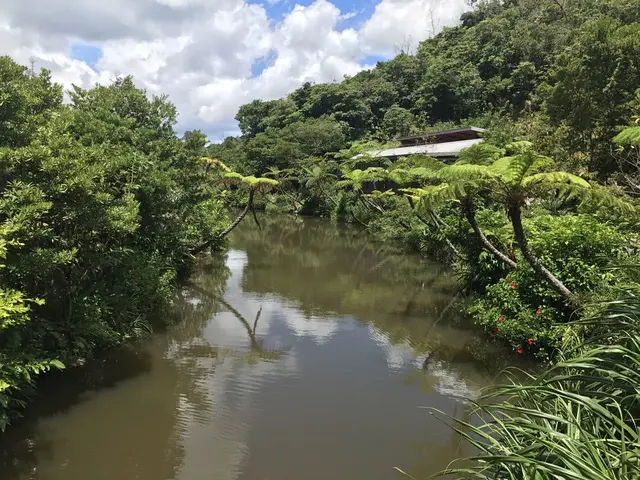 【閉業】カフェ七色の風