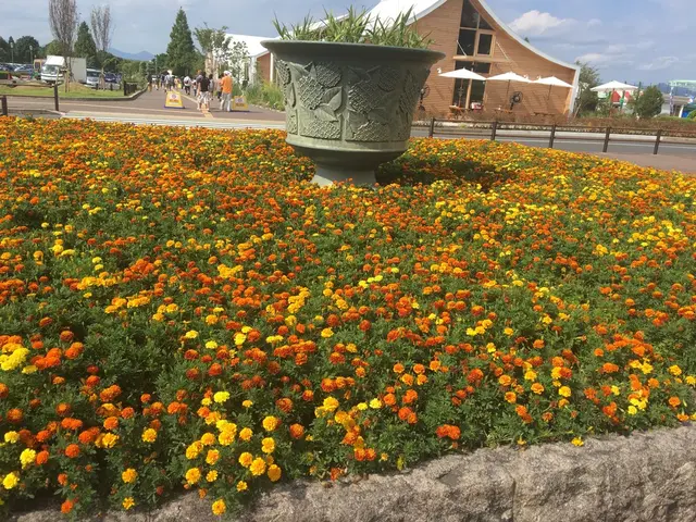 道の駅 神戸フルーツ・フラワーパーク大沢