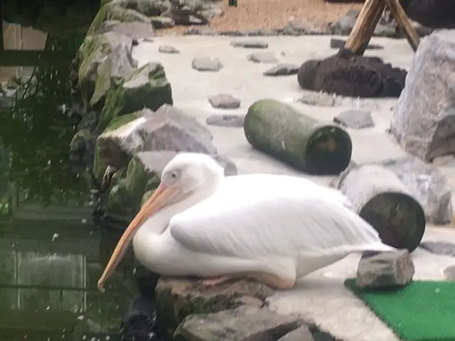 松江フォーゲルパーク