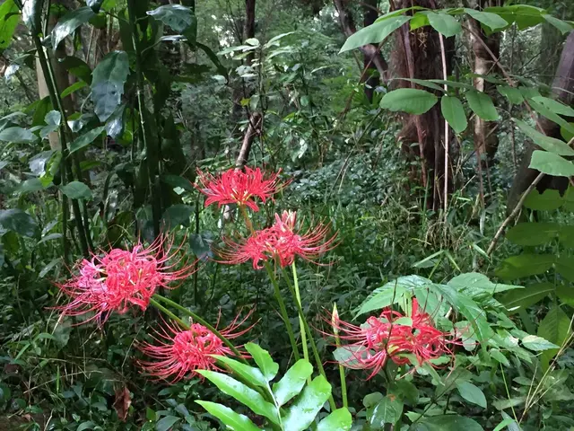 等々力渓谷