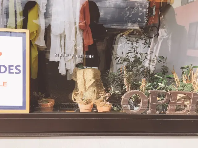 Seagull direction 大館店