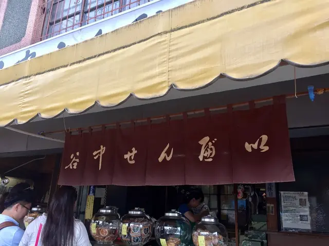 谷中せんべい 信泉堂