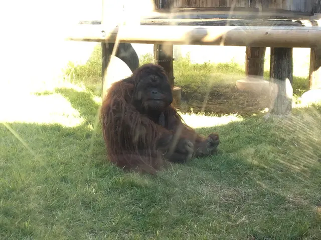 よこはま動物園ズーラシア