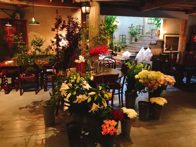 工房花屋５Ｓｏｋｏ