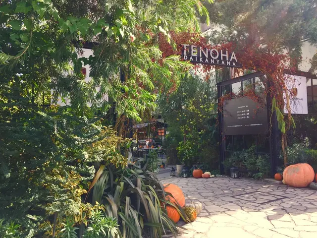 TENOHA & STYLE STORE (テノハ代官山)