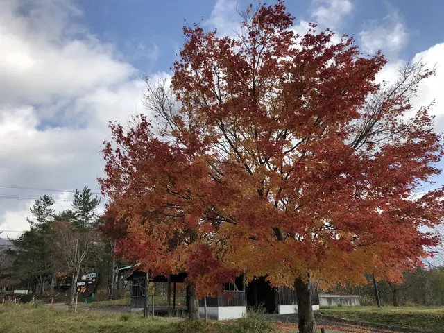 休暇村蒜山高原