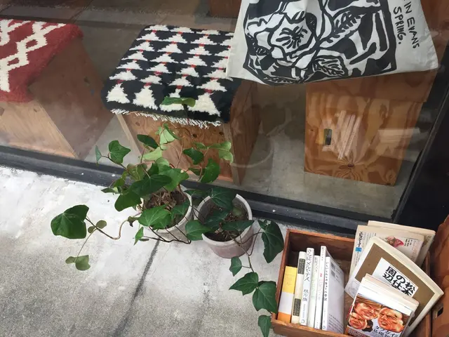 nostos books（古書ノストス）