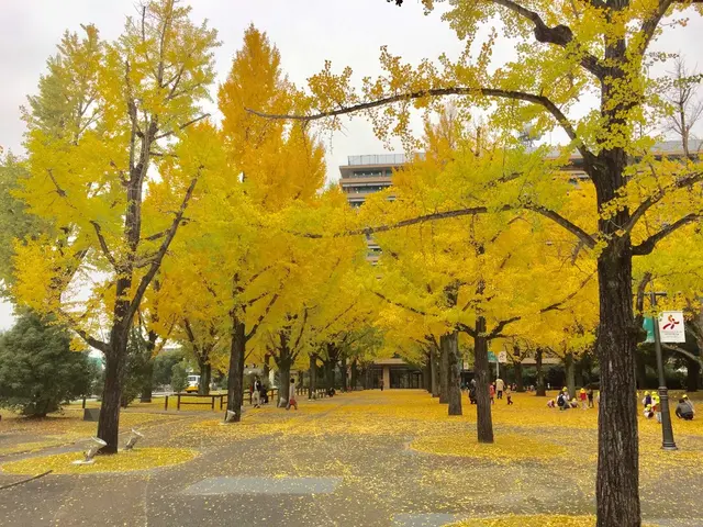 熊本県