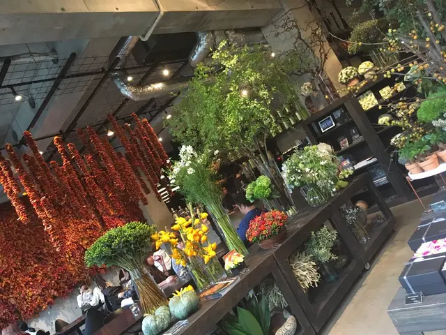 ニコライバーグマン ノム（Nicolai Bergmann NOMU ）