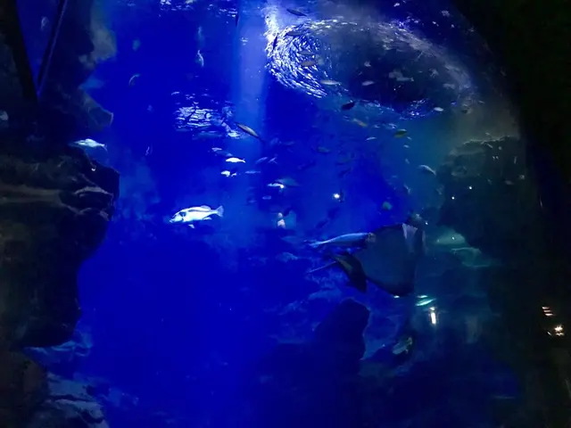 京都水族館
