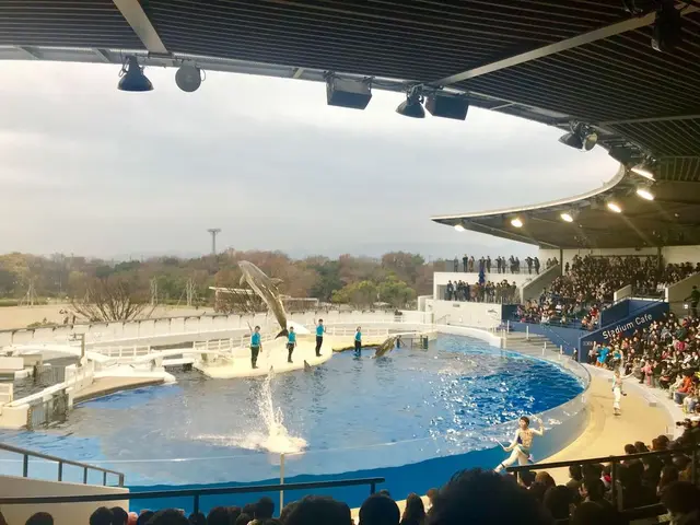 京都水族館