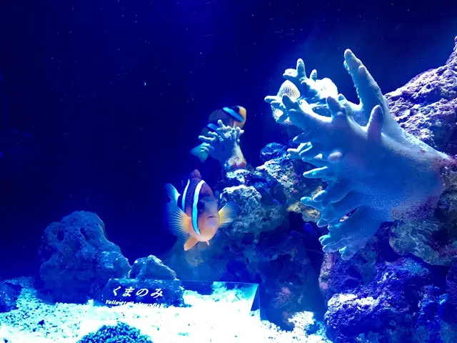 京都水族館