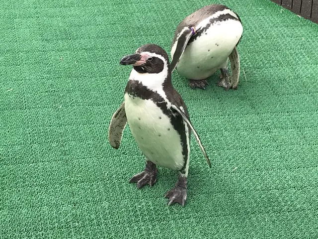 越前松島水族館