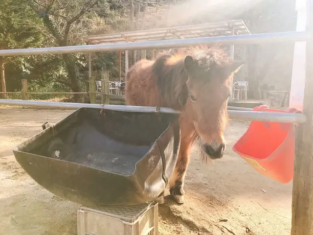 （有）安富牧場