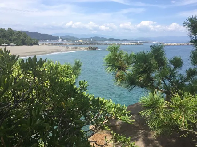桂浜