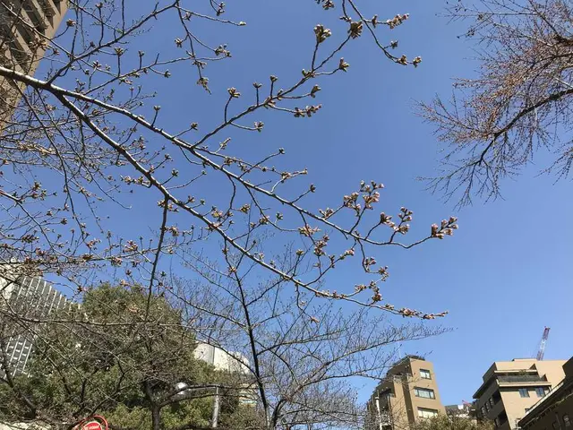 【閉業】ランディ（RANDY）