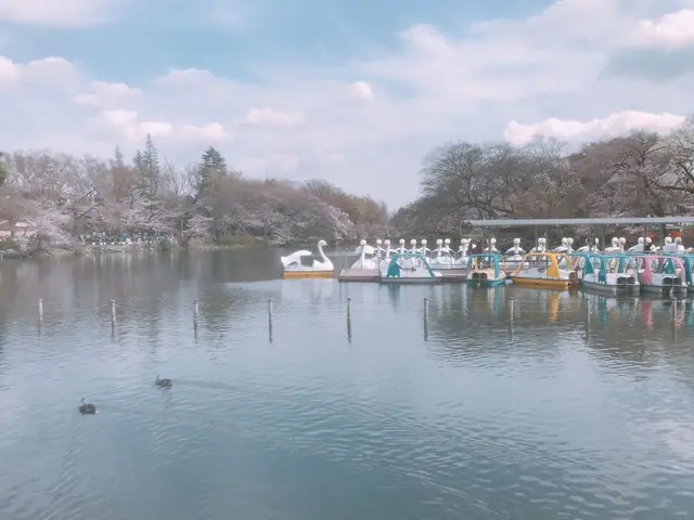 井の頭恩賜公園
