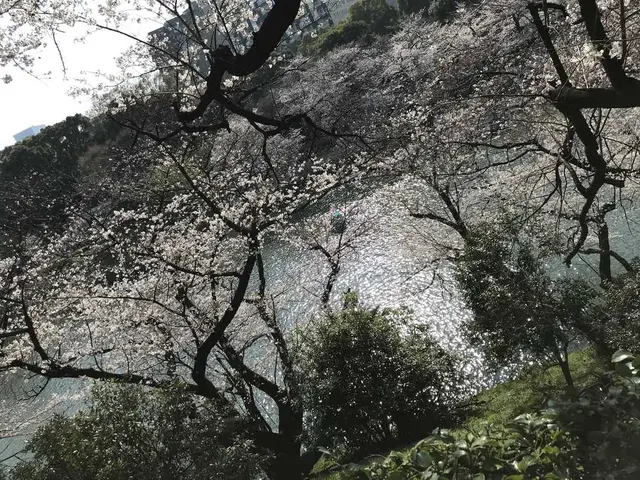 北の丸公園