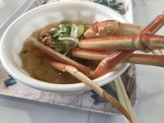 道の駅 越前