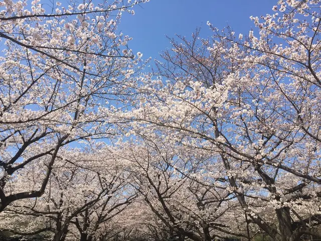 大井ふ頭海浜公園