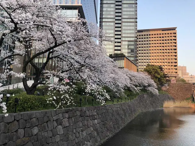弁慶橋