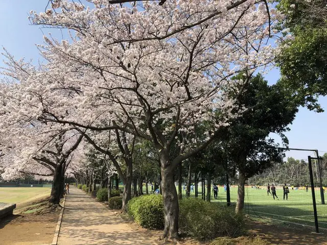日立柏総合グラウンド