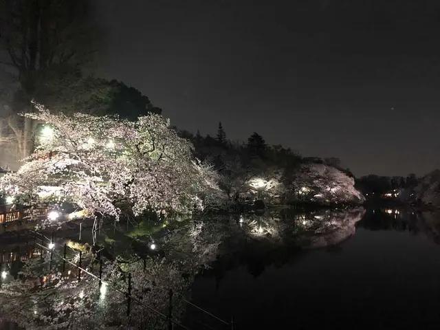 井の頭恩賜公園