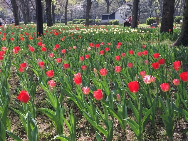 日比谷公園