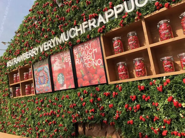 代官山 蔦屋書店(TSUTAYA)