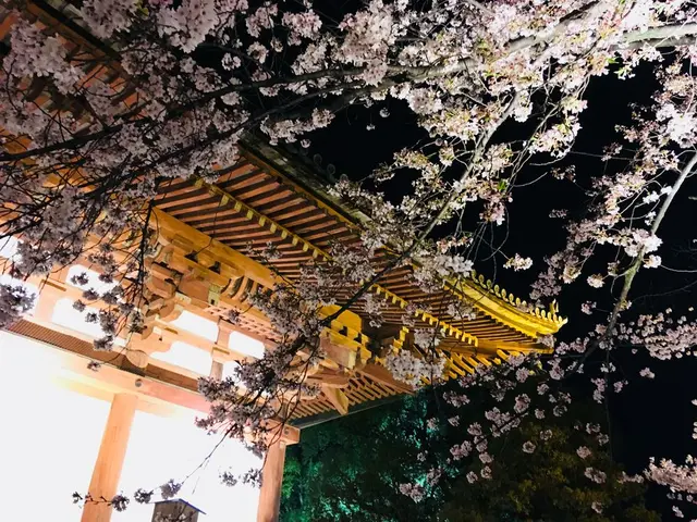 東寺（教王護国寺）