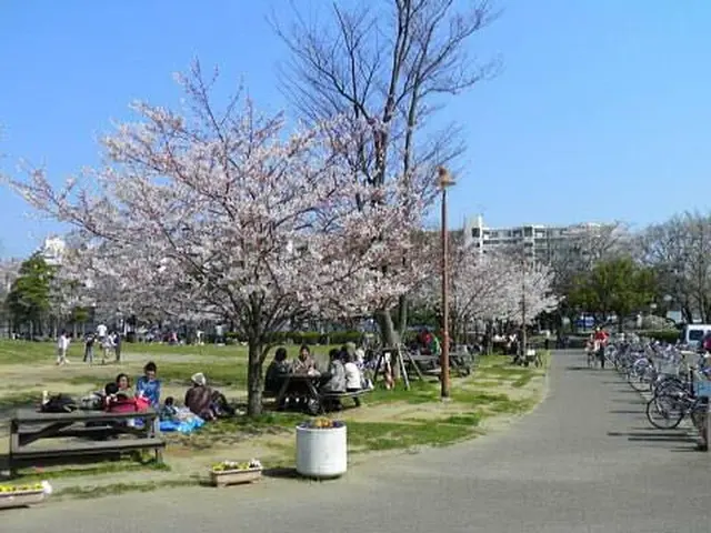 若潮公園