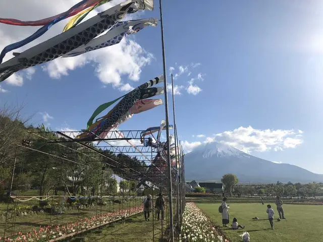 山中湖花の都公園