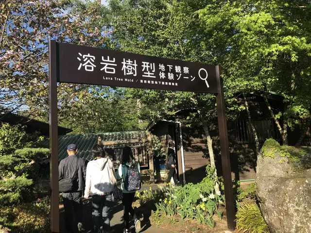 山中湖花の都公園
