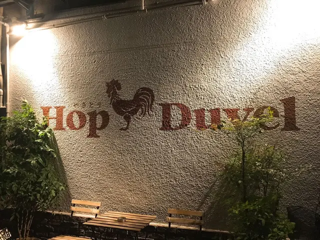 ホップ デュベル（HopDuvel）