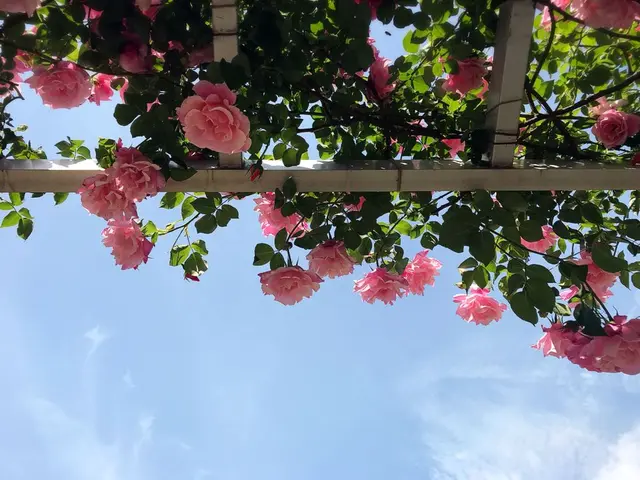 霊山寺