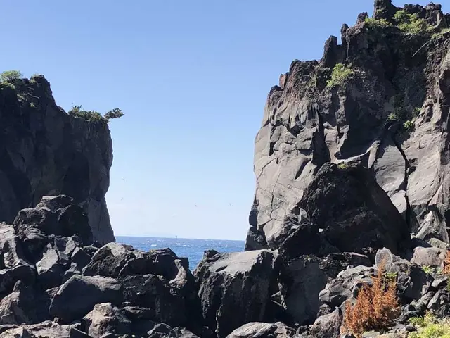 伊豆稲取産金目鯛と源泉かけ流しの宿。旅館はまべ荘