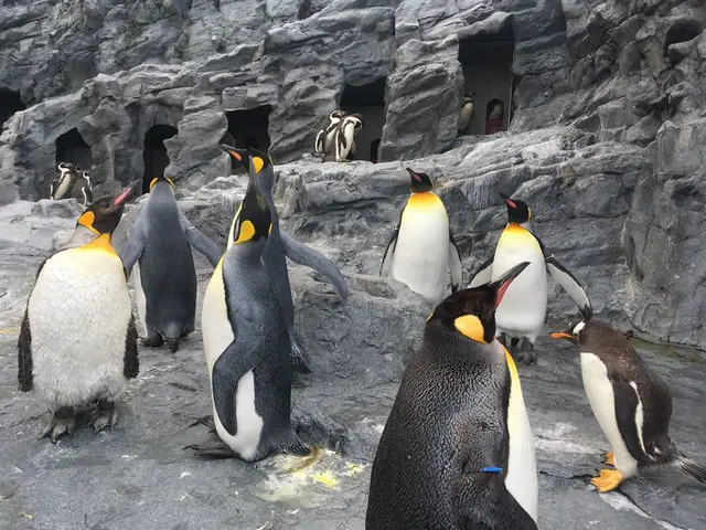 旭川市 旭山動物園