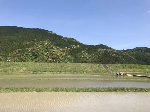 熊野古道大門坂
