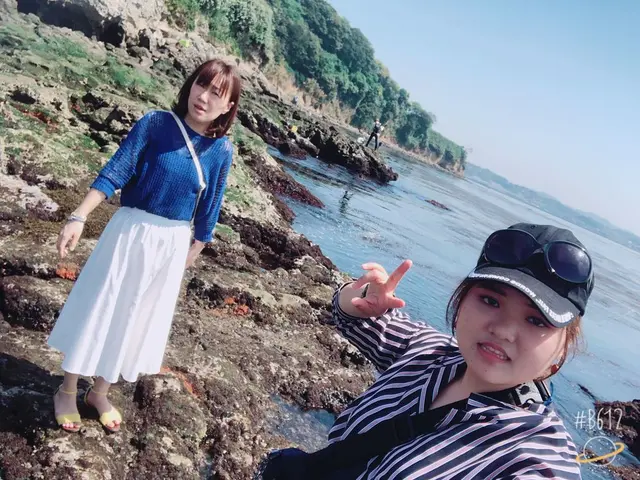 猿島