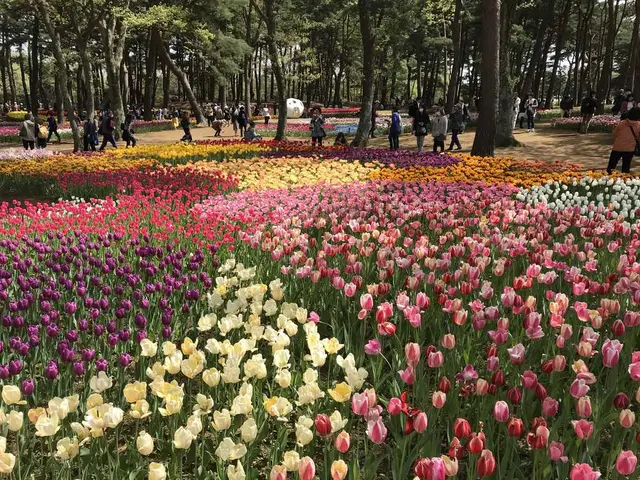 国営ひたち海浜公園